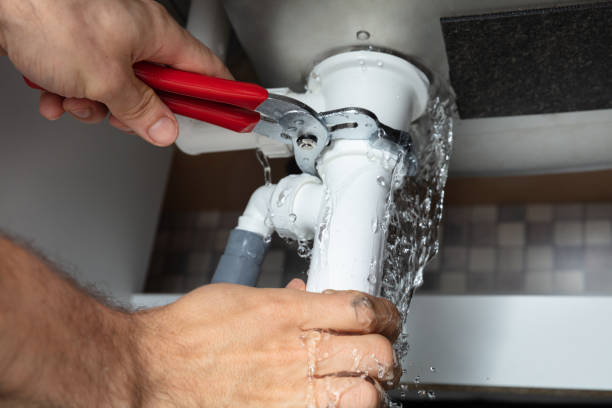 Best Residential water damage restoration  in Sugarmill Woods, FL