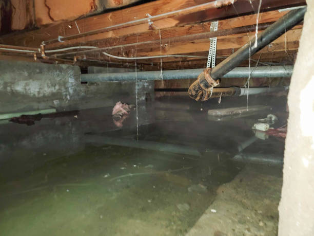 Reliable FL Water damage restoration Solutions