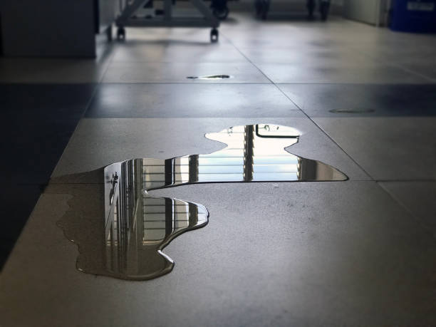Reliable FL Water damage restoration Solutions