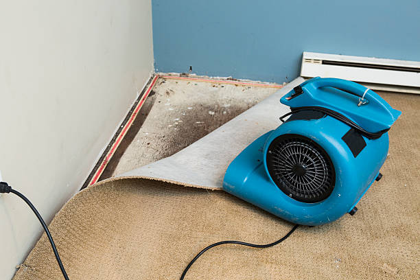  Sugarmill Woods, FL Water damage restoration Pros